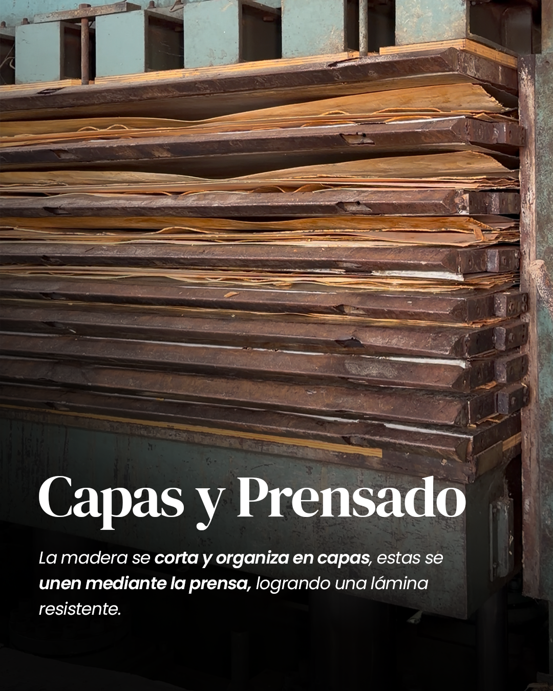 Capas y Prensado