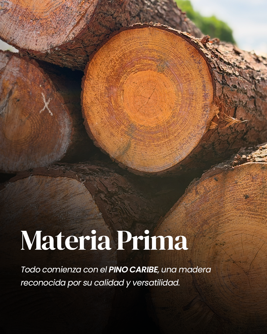 Materia Prima
