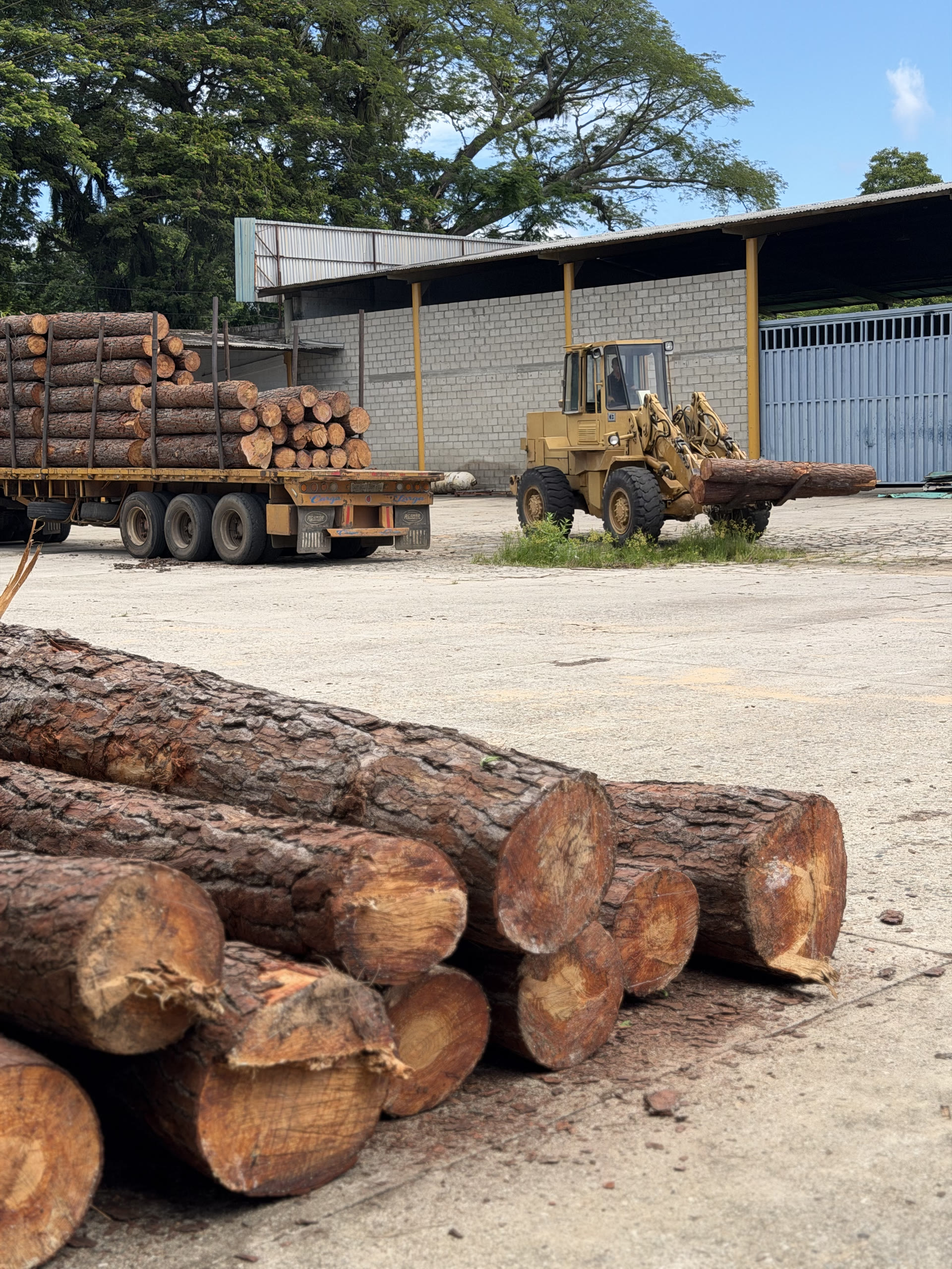 Patio industrial y cargador frontal en planta IMAYA Yaracuy